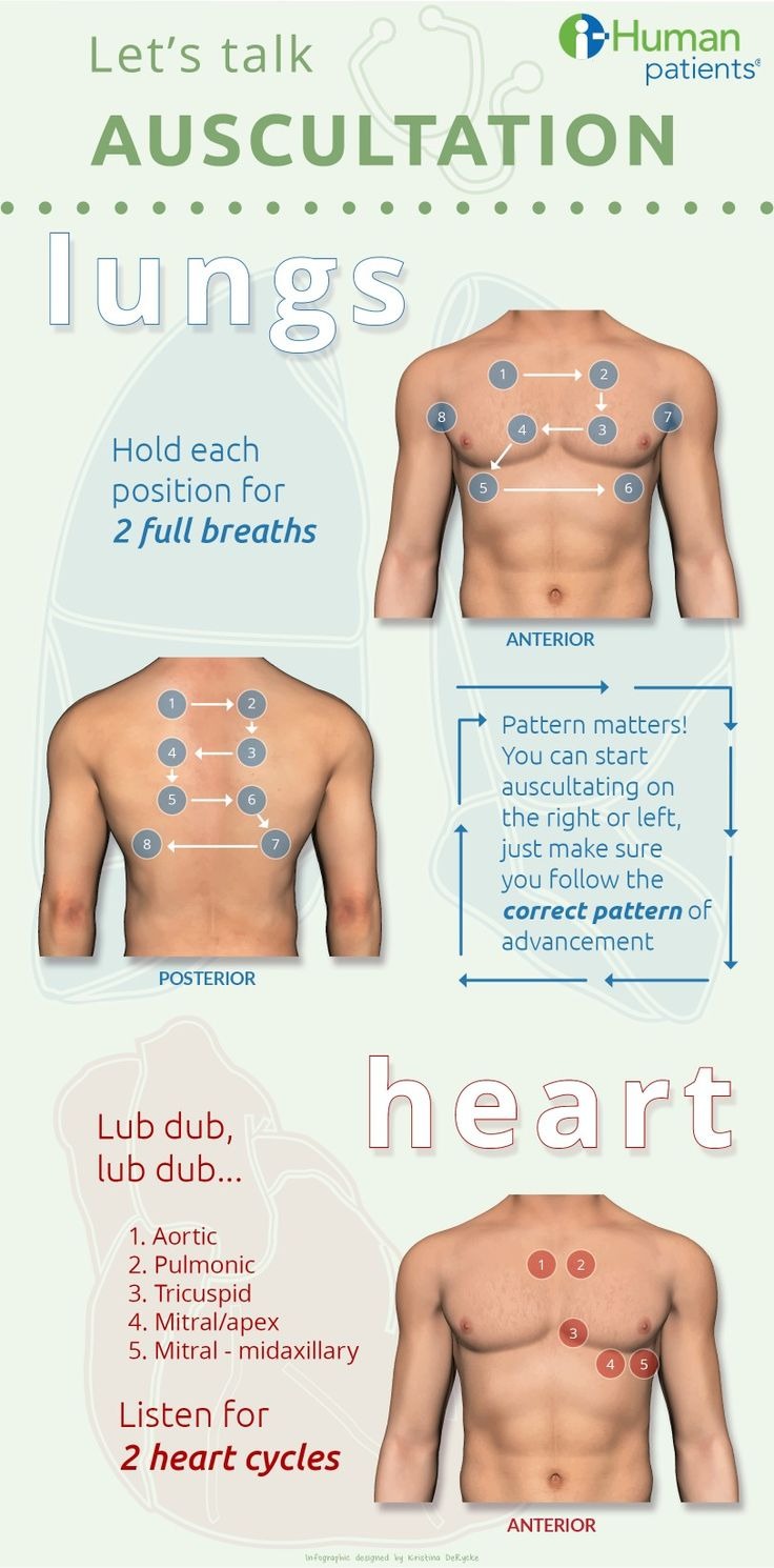 Heart Auscultation Points