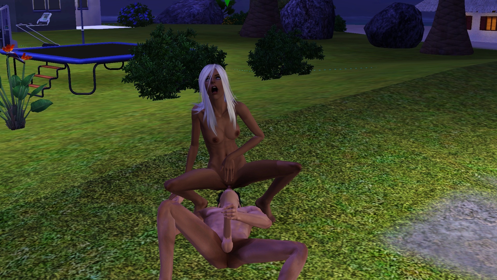 Sims 3 Sex Mode