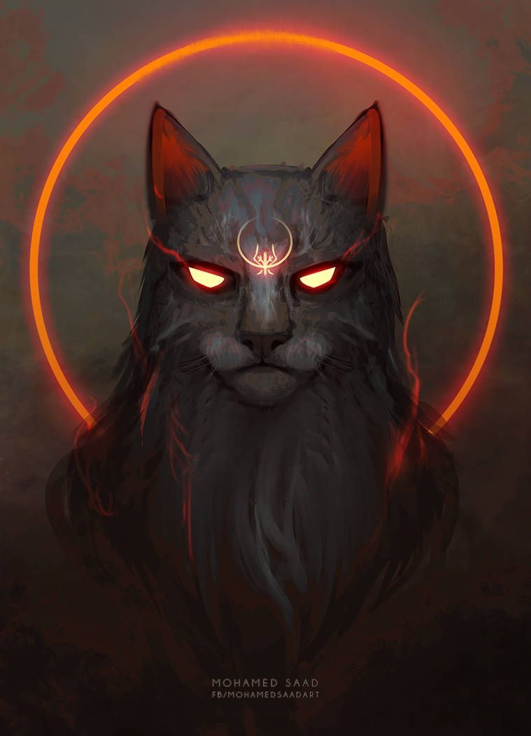 Spicy Meow (80 photos)