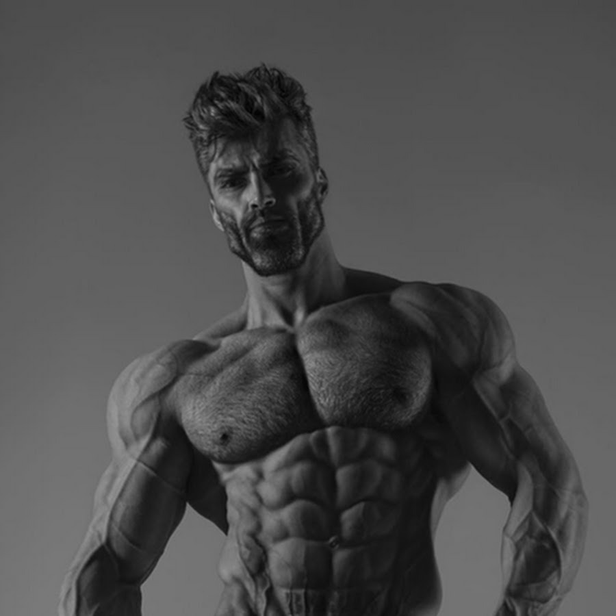 Jacob Twilight torso