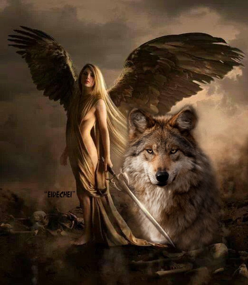 Dakimakura Lucy Hartfilia