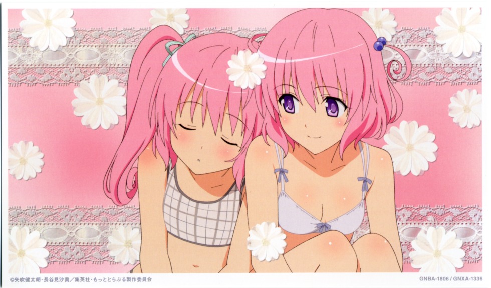 Anima girls in stockings