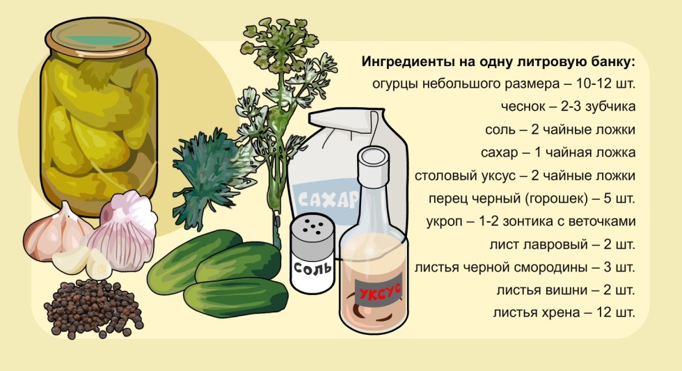 Signs of the zodiac according to the elements of the water of the earth and fire