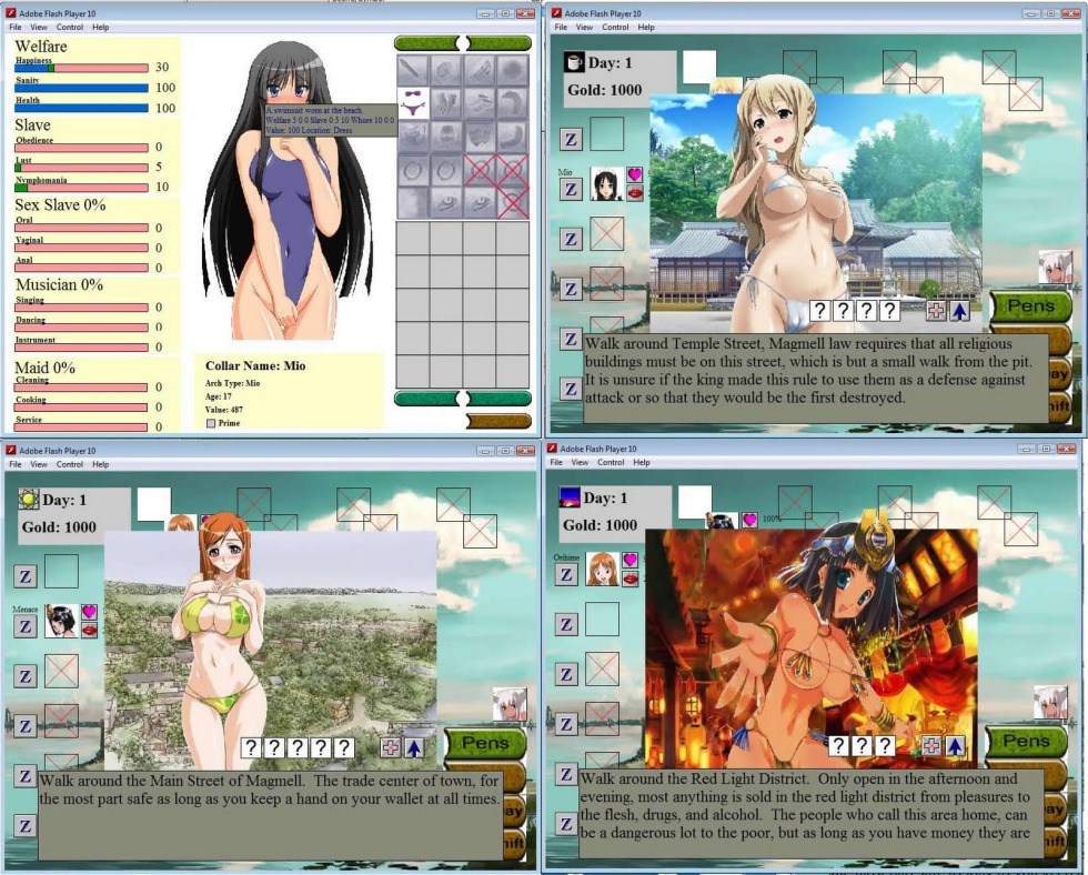 The game is an erotic simulator