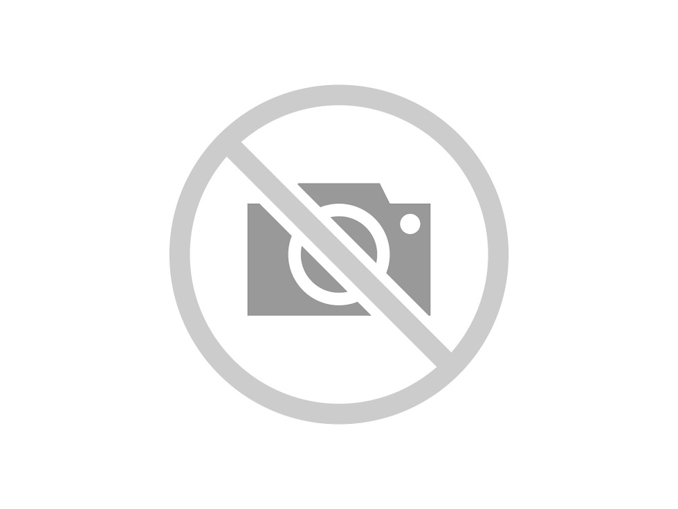 MSI 865GVM2-LS motherboard