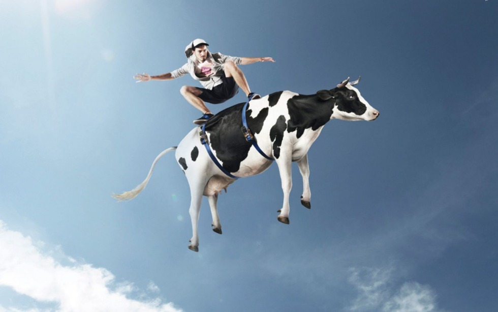 Flying cow