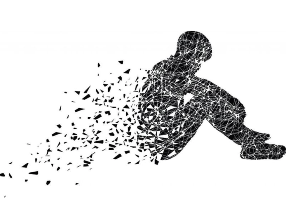 The muzzle of the wolf ANFAS