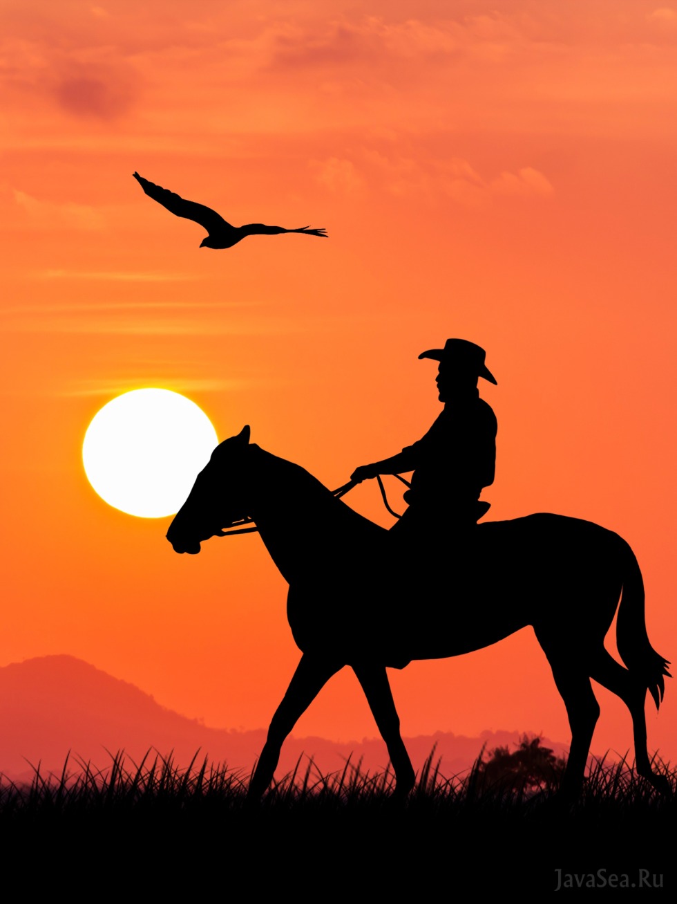 Horseman at sunset