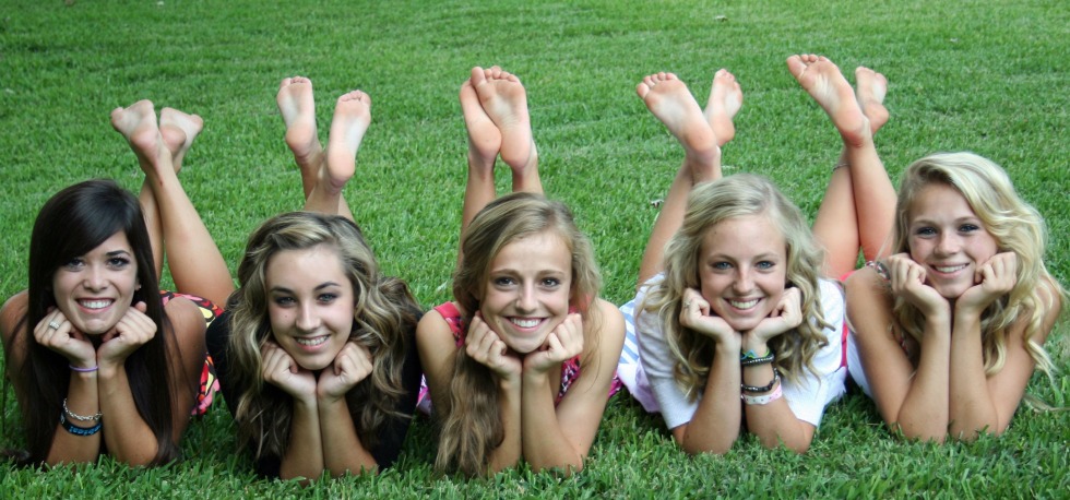 The first monitor for the computer