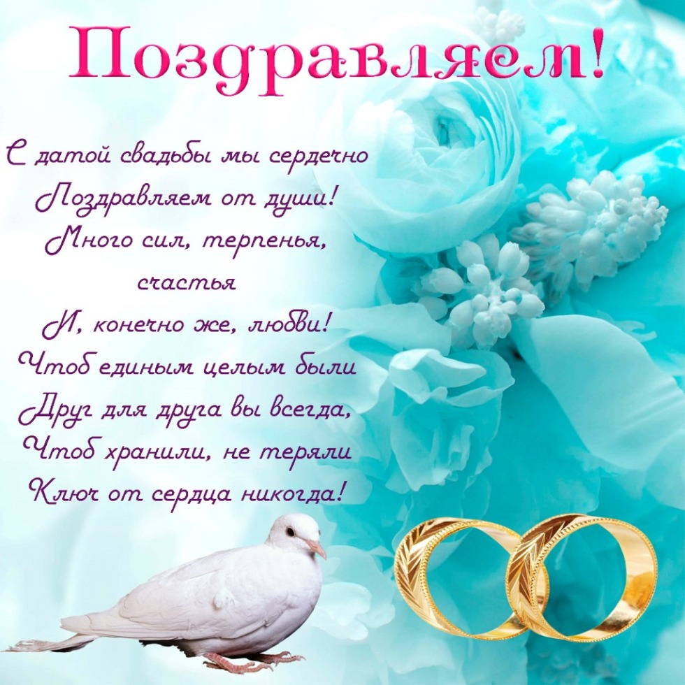 Congratulations on the anniversary of the wedding