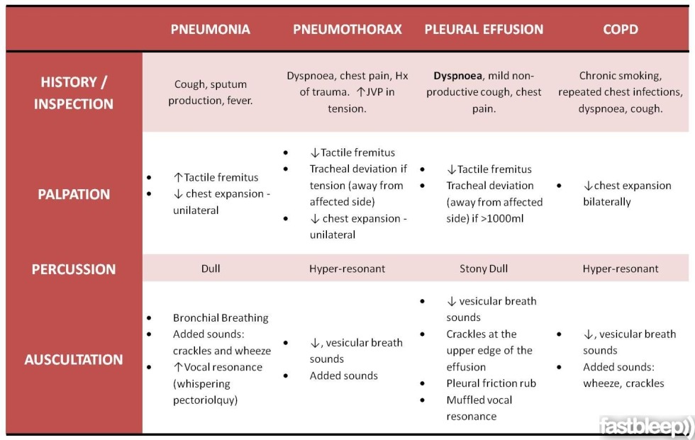 Respiratory auscultation