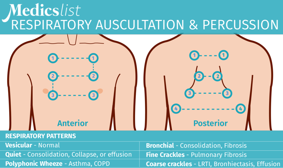 Listening to the child with a stethoscope