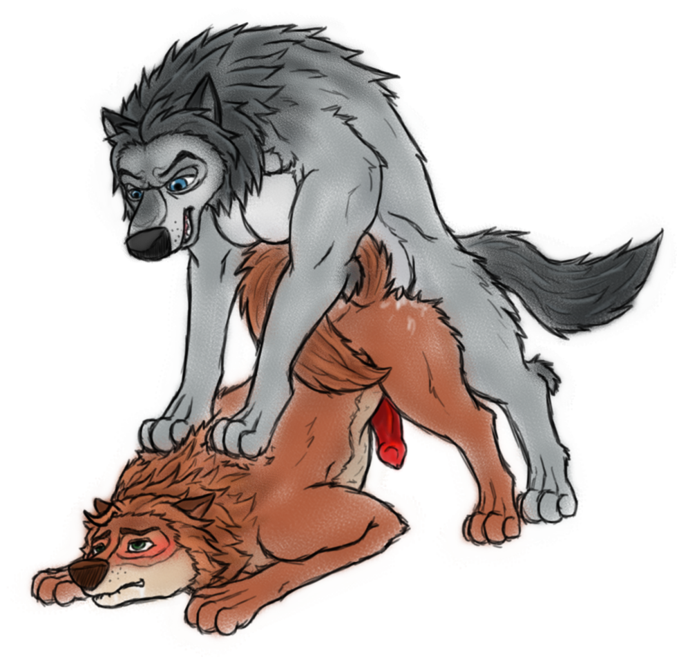 Oystercatcher7 alpha and omega Kate XXX