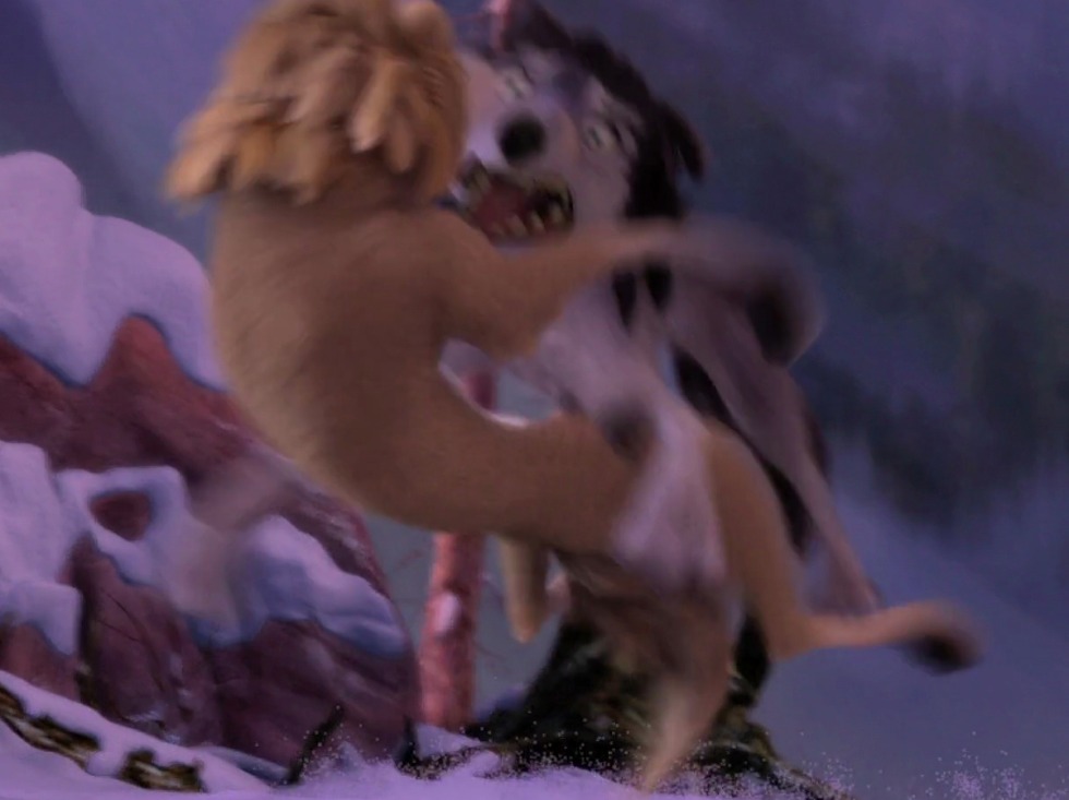 OysterCatcher7 Madagascar Gloria