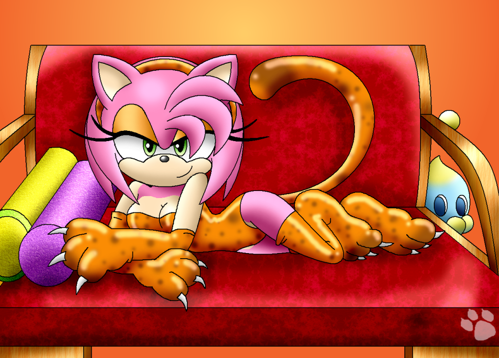 Sonic 18+Amy Rose