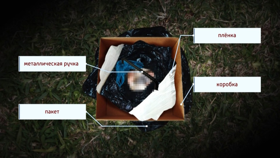 Nastya Muravyova's body in the box