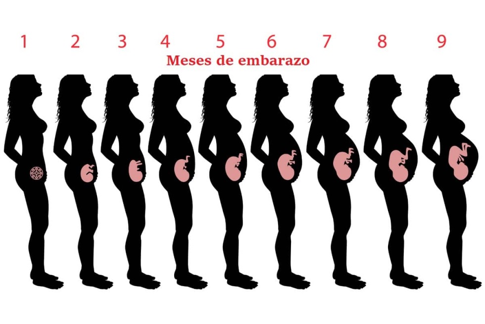 Christina Durman Plum Burlutskaya