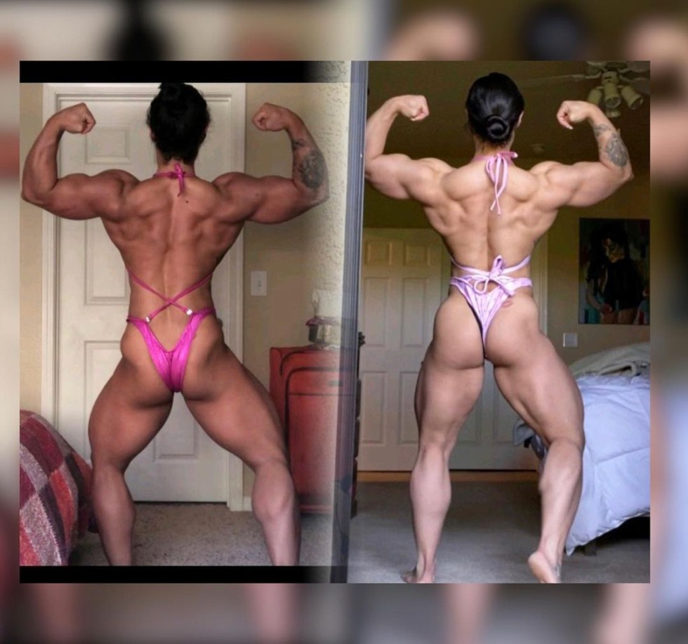 Equipment Jeep Musso