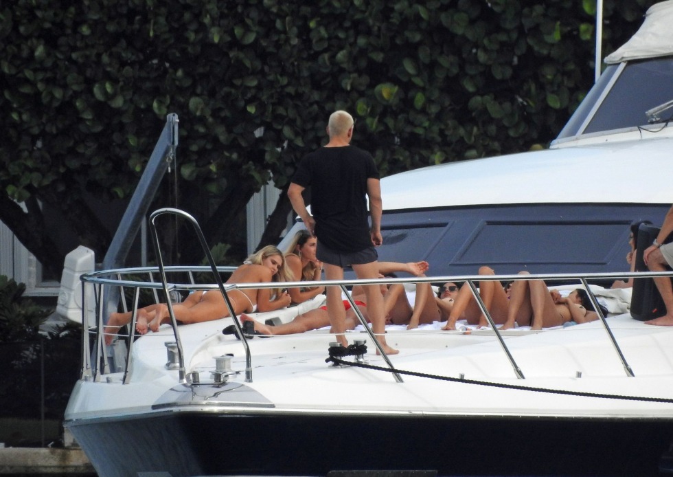 Leaves of the cilantro plant