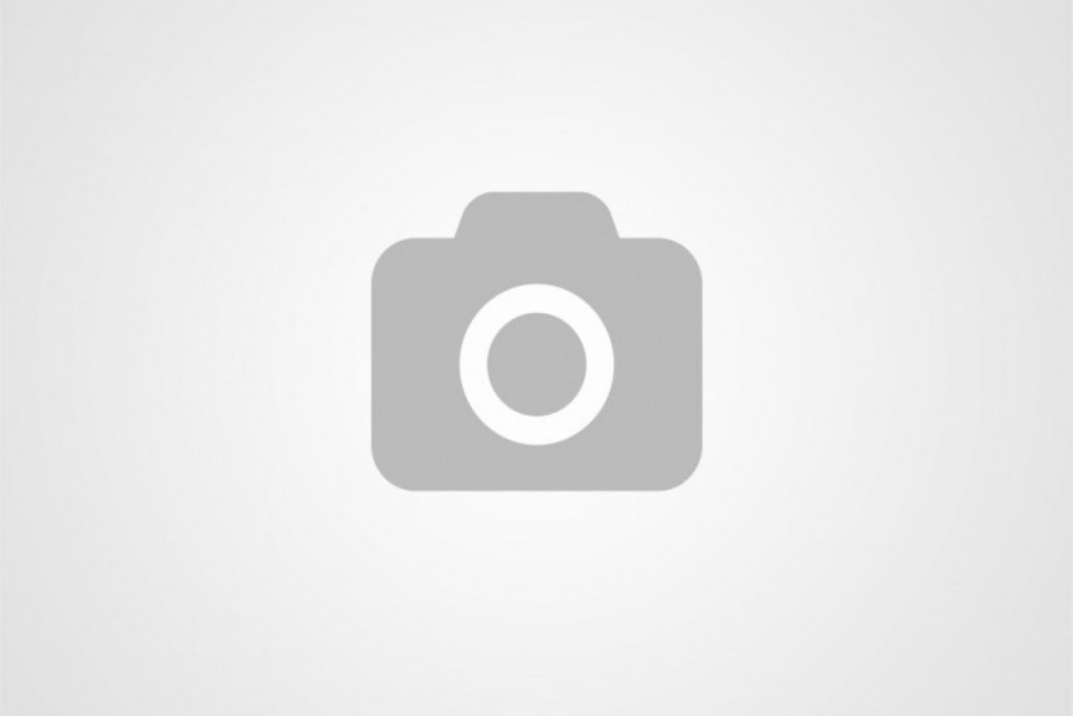 Vixen Party Greg Lansky