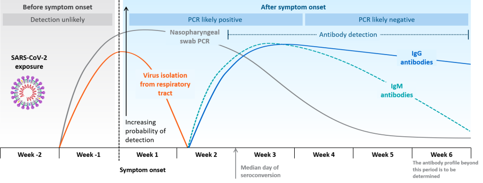 Stages of liver damage to alcohol