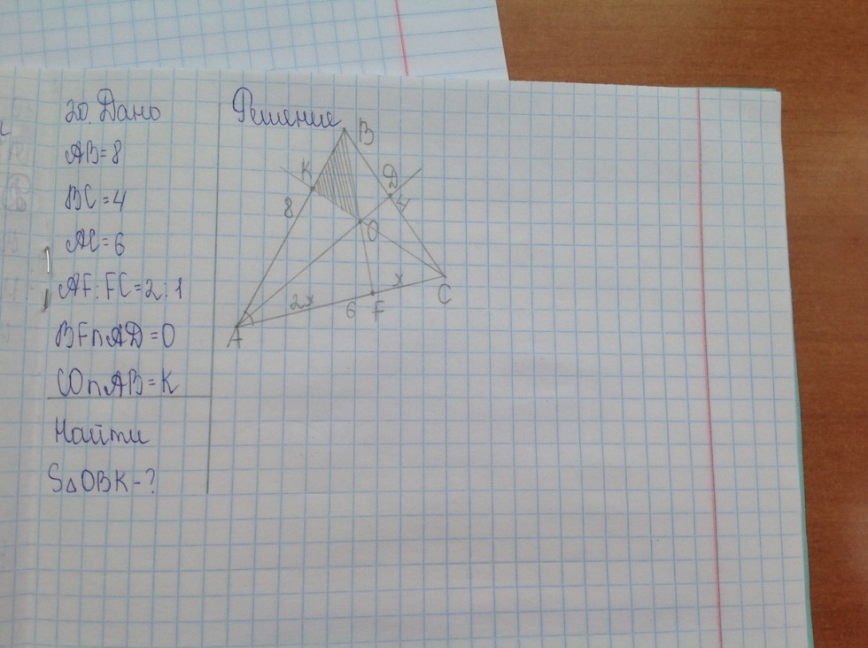 Daria Kotelnikova transverse twine