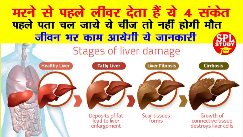 Avatar for Windows account