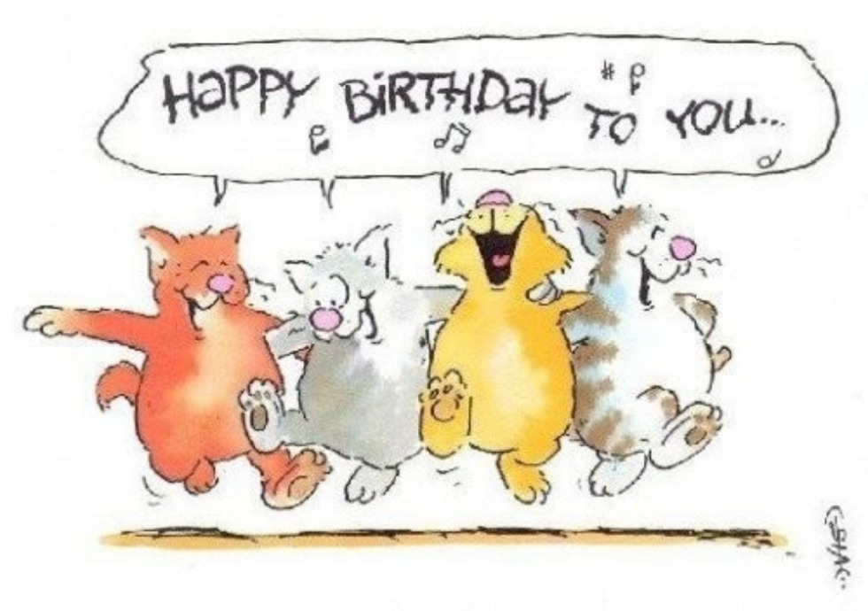 Happy birthday with cats is funny