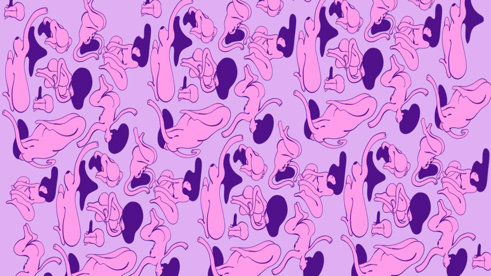 Monica DDLK in full height