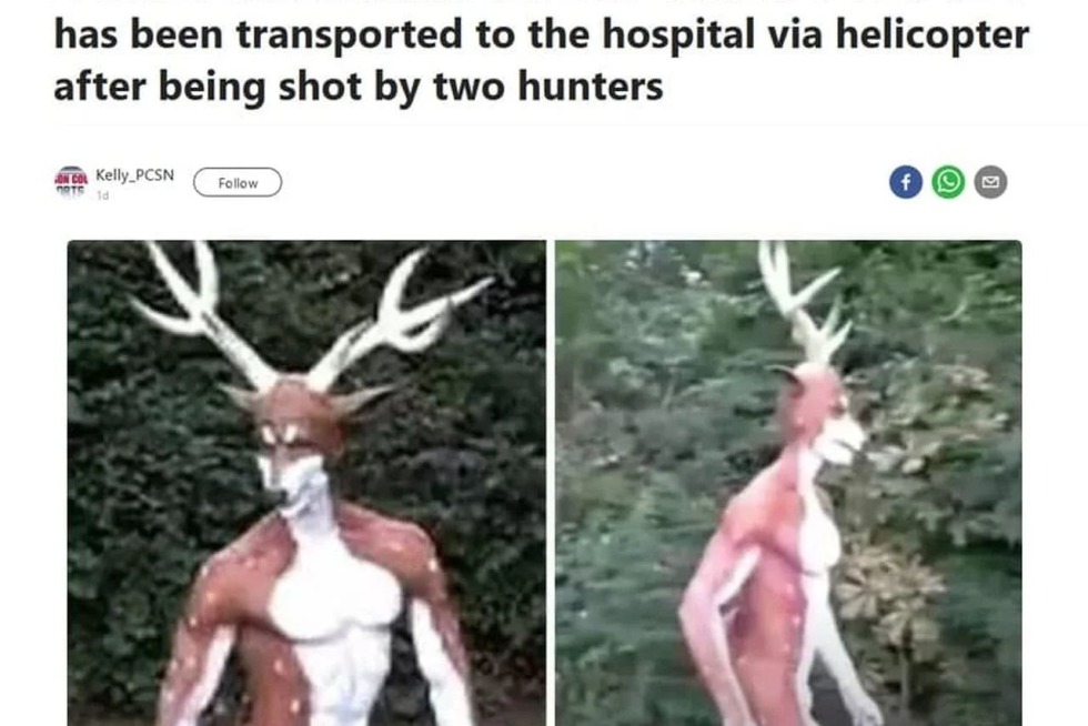 MEET A FAMOUS PERSON picture