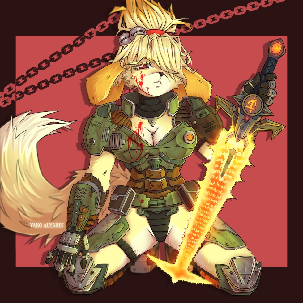 The resume of the developer