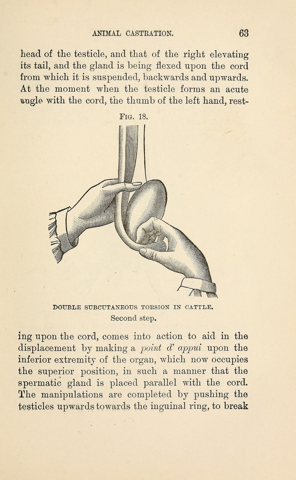 TG Castration Caption