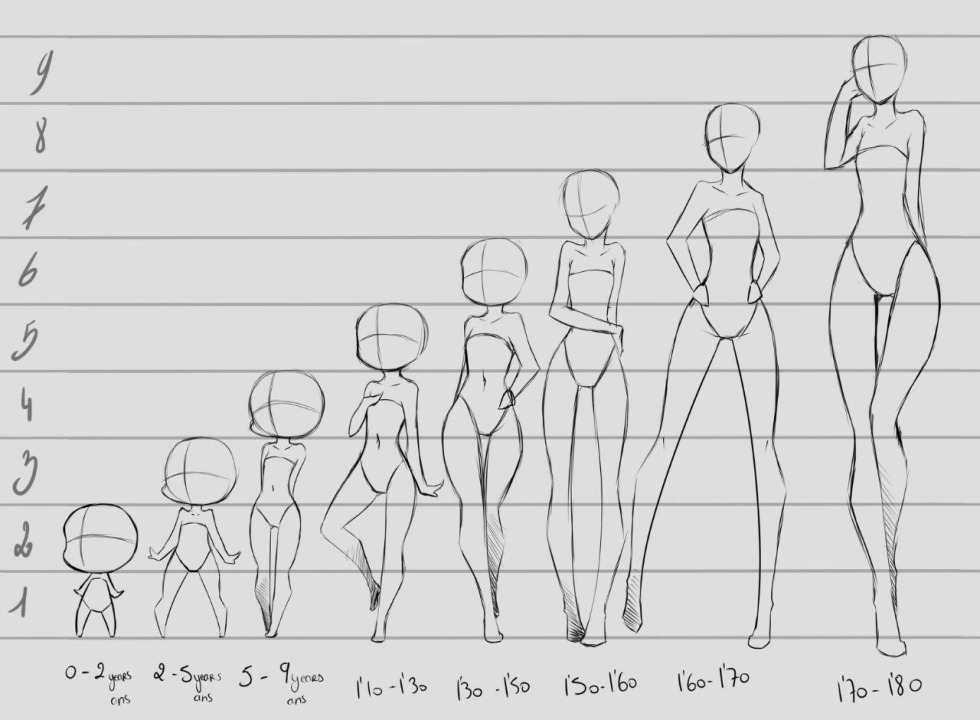 The proportions of the human body for drawing anime