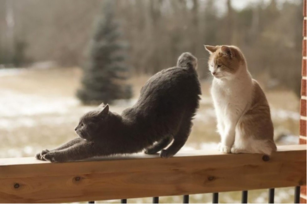 NN-DF383BZPE (inverter)