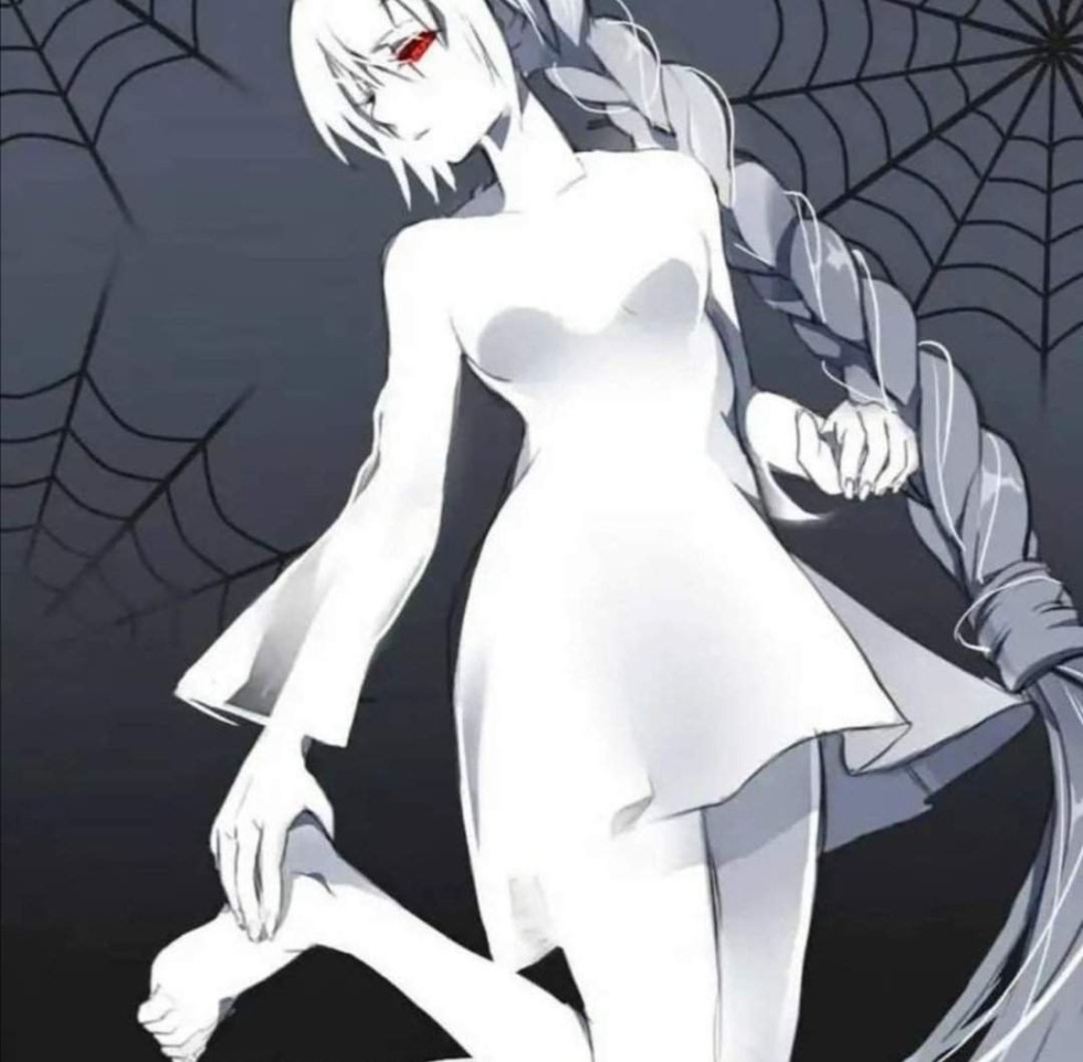 Kumo desu ga nani ka anime