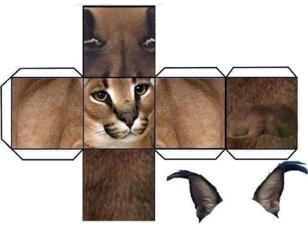 Turbo agent Dudley Kitty Sex