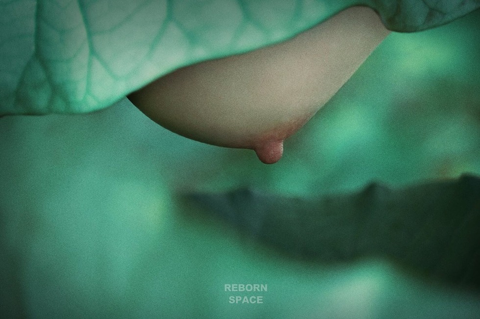 Reborn Space Chinese