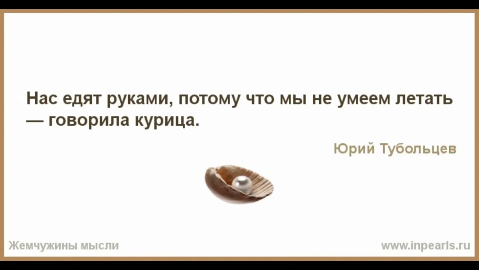 Ninja turtles Leonardo