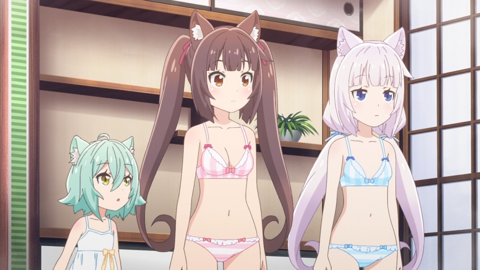 Vanilla The Rabbit and Sonic Sex Comics