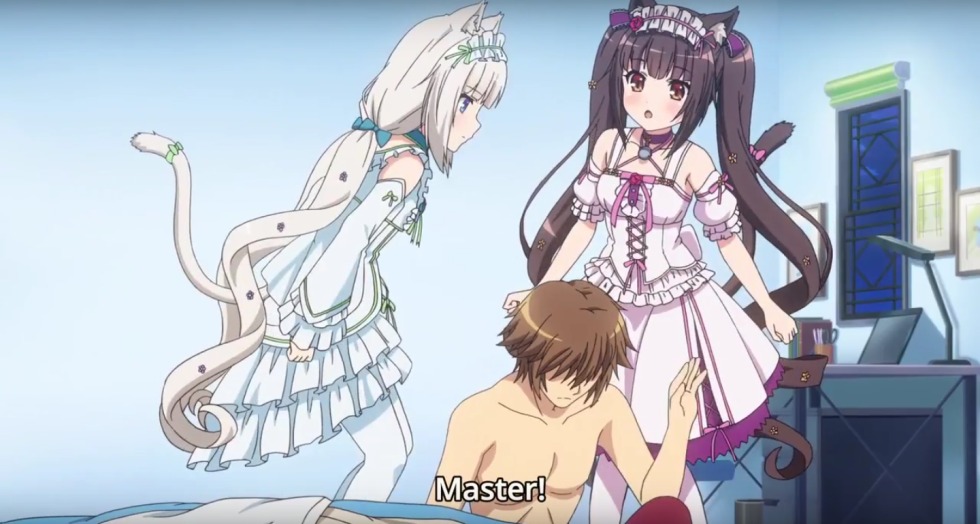 Rabbit krimm foot fetish