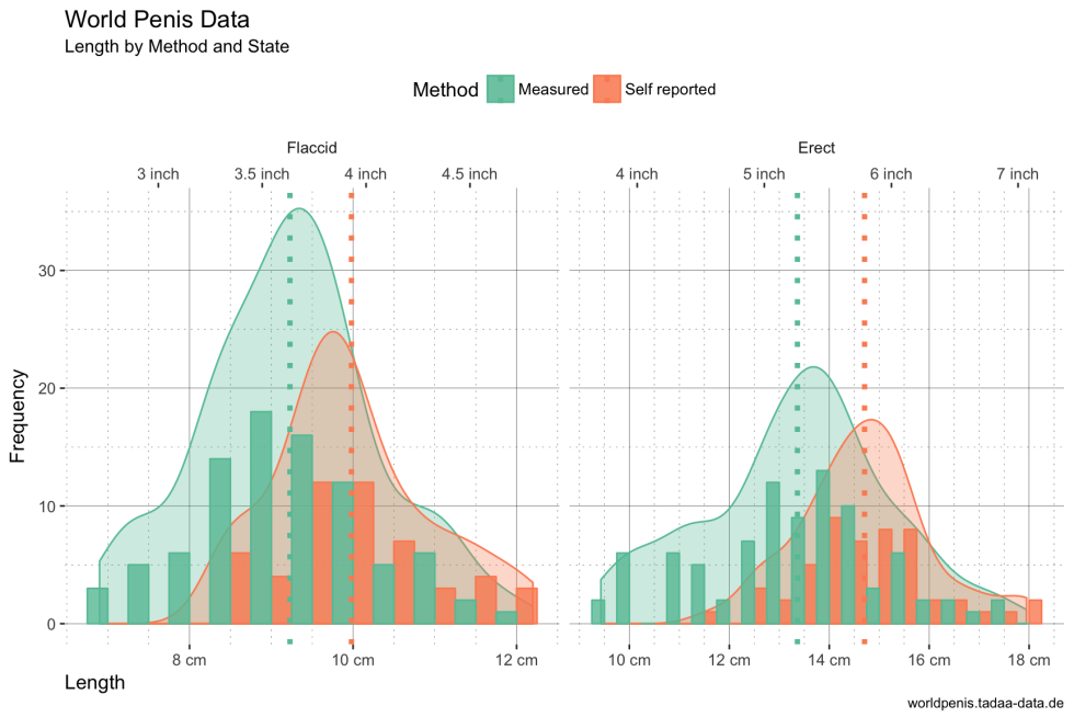 Penis Size Comparison Chart