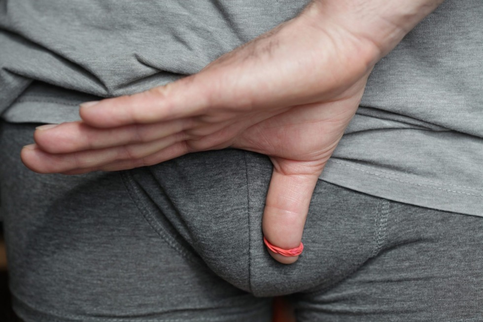 Penis in a calm state