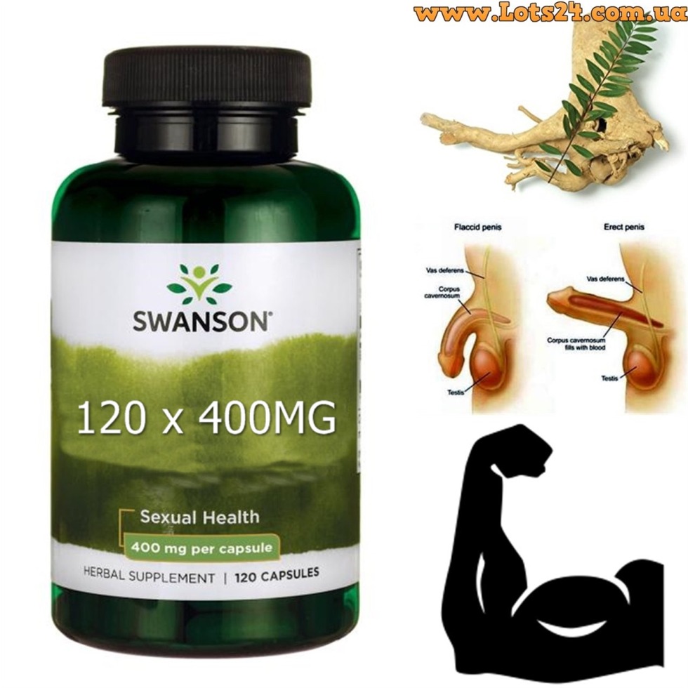 Eurycoma Long -leaved drugs