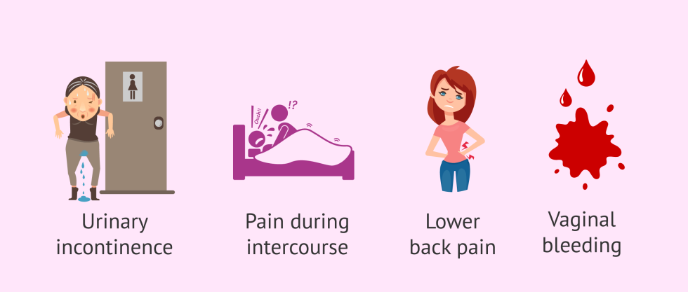 Amber Jane Secretary