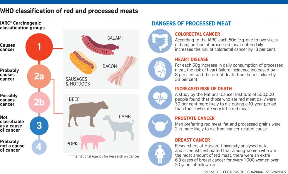 Diseases Associated with Meat Consumption