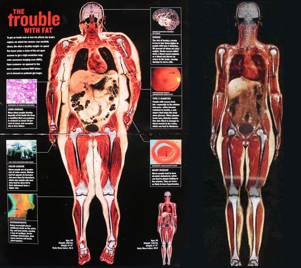 Fat Leila Fidi Staffing 2020