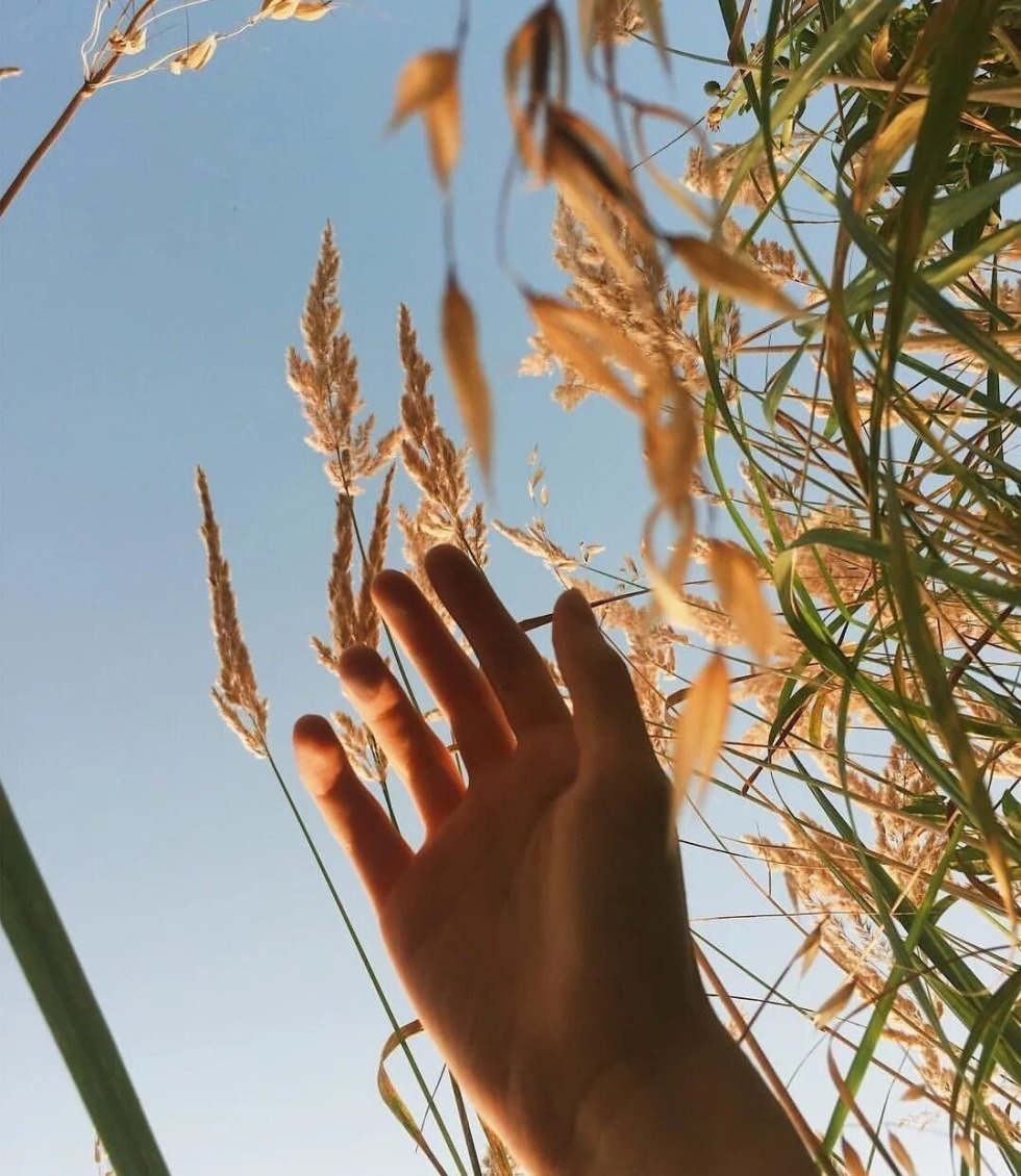 The oscilloscope Akip-75442D