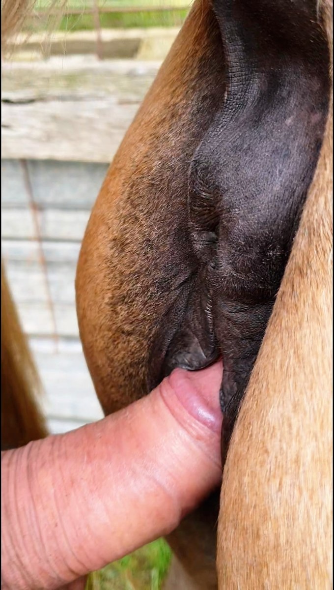 Esperanza Gomeza Pornstar xxx