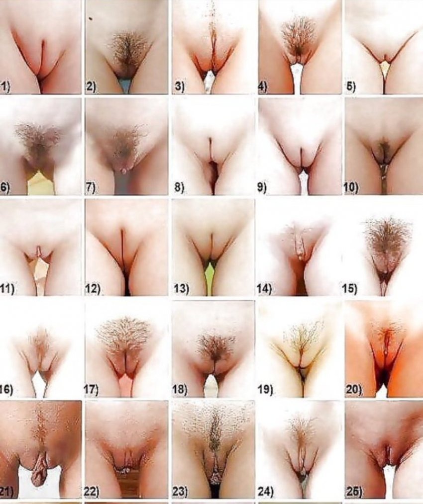 Women's pussies of various shapes