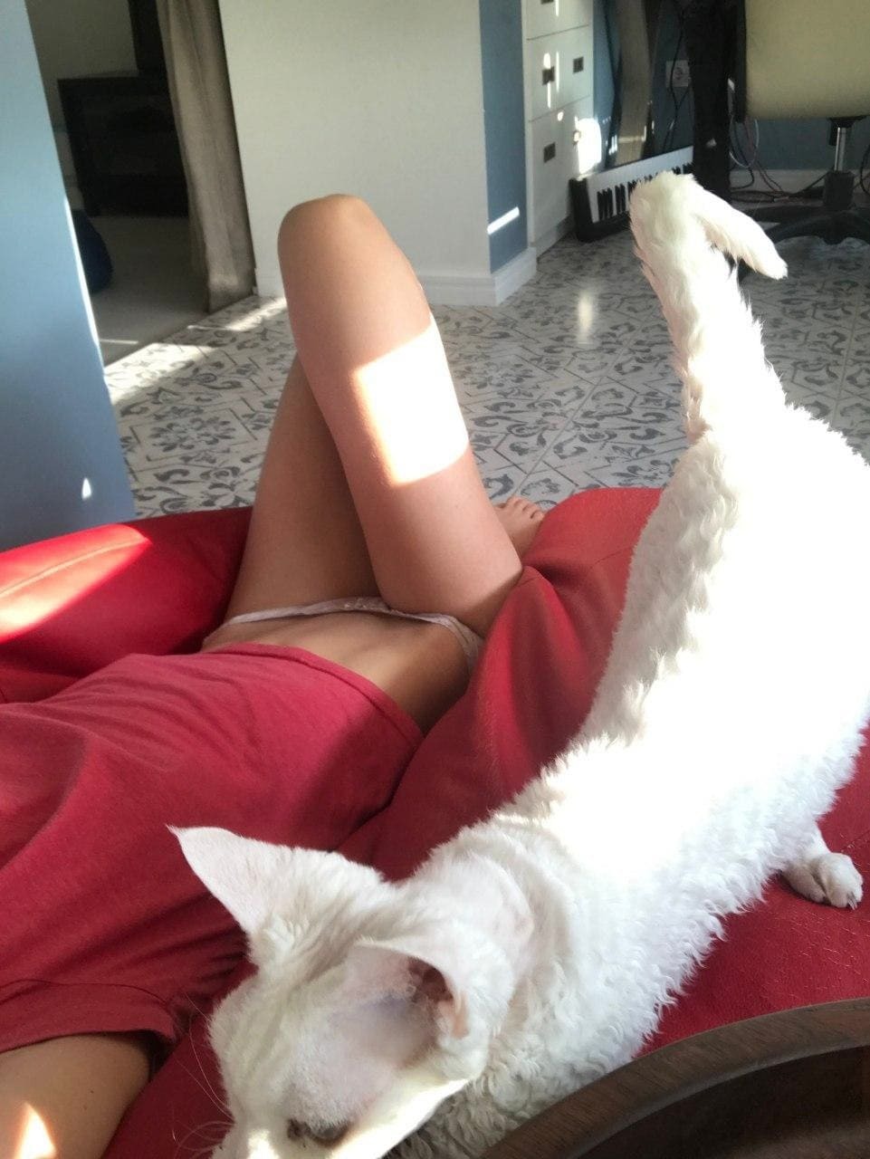 NATASHA Shelyagina ANAL (81 photos)